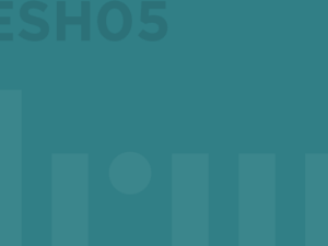 ESH05 – Couvertine sur Relevé