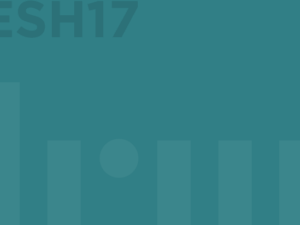 ESH17 – Bande de Tôle